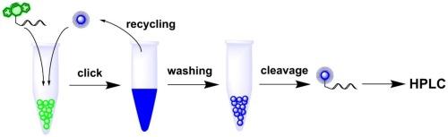 Strain promoted click labeling of oligonucleotides on solid-phase support