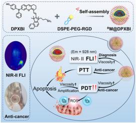 A viscosity-activable nano-micelle with aggregation-induced emission for boosting NIR-II fluorescence imaging-guided synergetic photodynamic/photothermal therapy of breast cancer