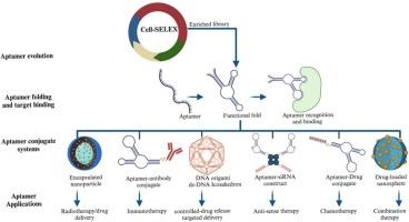 Aptamers as target-specific recognition elements in drug delivery