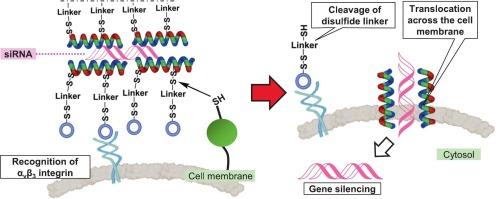 Redox-cleavable disulfide linker enhances siRNA delivery by prodrug-type bifunctional cell-penetrating peptide