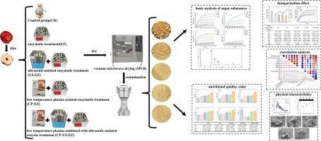 Effect of cold plasma synergistic ultrasound-assisted enzyme treatment on the improvement of hygroscopicity and quality characteristics of jujube powder