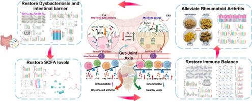 Siweixizangmaoru decoction attenuates collagen-induced arthritis via gut microbiota-dependent SCFA restoration and immunomodulation