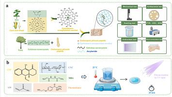 Codonopsis pilosula peptides/cellulose nanocrystals hydrogels: Preparation, characterization, and antibacterial/antioxidant properties