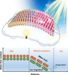 A customizable woven asymmetric fabric for efficient synergistic water-electricity coproduction from saltwater