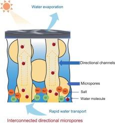 Robust and salt-resistant zwitterionic hydrogel evaporator with interconnected directional micropores for efficient solar water desalination