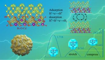 External field induced piezo-photocatalytic hydrogen evolution for BiFeO3@CdS heterojunction