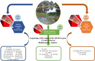 Bulk identification of Anophelinae larvae from fishponds using DNA metabarcoding