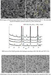 Low-temperature Spark Plasma Sintering of fine refractory composite powders core-shell: A case of the powders W@Ni