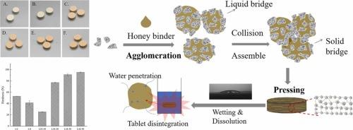 Effect of honey from fluid bed agglomeration to tableting of plant-based food powder: A case study of lotus seed powder