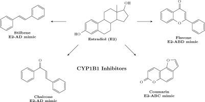 Phytoestrogens and their synthetic analogues as substrate mimic inhibitors of CYP1B1 – An update (2020–2025)