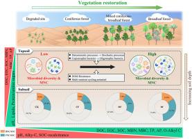 Vegetation restoration shapes soil organic matter chemistry and microbial processes
