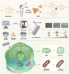 Multi-scale biomimetic fusion construction of cerium ion hydrogel-scaffold for promoting osteoporotic bone defect repair