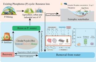 Engineered nanomaterials for removal, recovery, and reuse of phosphorus: From water to fertilizer pathways
