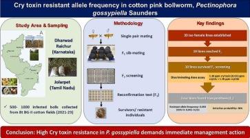 High levels of Bt cry toxin resistant allele frequency in South Indian populations of cotton pink bollworm, Pectinophora gossypiella Saunders (Gelechiidae: Lepidoptera)