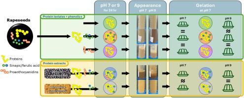 The gelation properties of rapeseed proteins are barely affected by co-extracted phenolic compounds