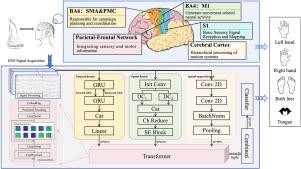 BioMIFormer: Biologically inspired spatiotemporal transformer for motor imagery EEG interpretation