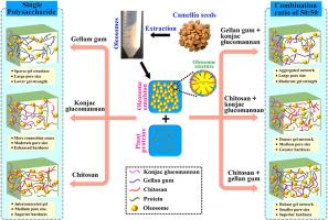Exploring the mechanisms of charged polysaccharides in regulating the microstructure, texture, and rheology of camellia oleosomes-based meat analogs