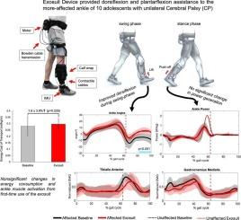 Acute effects of ankle exosuit on biomechanics, muscle activity, and energy cost of walking in adolescents with unilateral cerebral palsy
