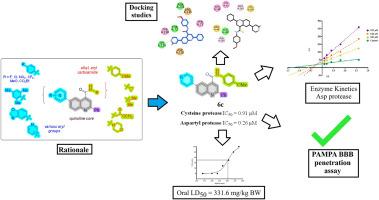 Mitigating SARS-CoV-2–exacerbated neuroinflammation and Alzheimer's pathology: Synthesis of quinoline-based dual inhibitors targeting cysteine and aspartyl proteases