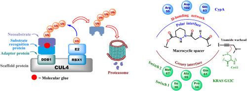 Drugging the undruggable: Chemical and biological insights into molecular glues in the pipeline