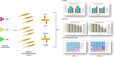 Bioplastic microparticles exposure on brine shrimp, Artemia franciscana and the effects on survival, growth and intestinal microbiota composition
