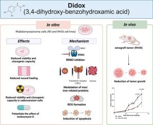 Didox, a ribonucleotide reductase inhibitor with iron chelator properties, counteracts the in vitro and in vivo growth of rhabdomyosarcoma cells