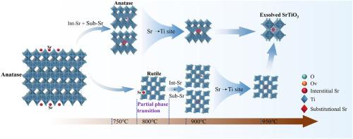 Dynamic evolution of Sr during high-temperature phase transition in Sr-doped TiO2: Insights from In Situ XRD and DFT analysis