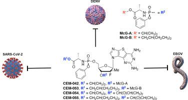 Novel tricycle expanded purine nucleosides with pan-viral activity