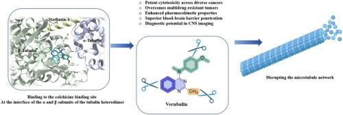 Verubulin and its derivatives: Progress and promise in tubulin-targeted cancer therapy