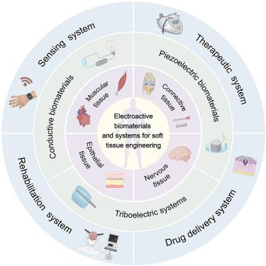 Synthesis and assembly strategy of electroactive biomaterials and systems for soft tissue engineering applications