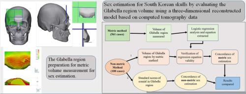 Validation of walker's non-metric sex estimation method using 3D glabella images in Koreans: A metric approach