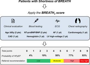 An evidence-based tool for screening for heart failure with preserved ejection fraction in primary care: The BREATH2 score