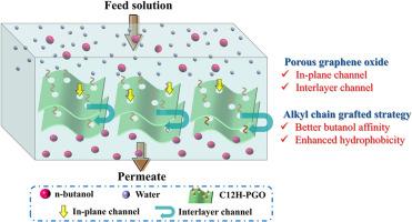 Hydrophobic alkyl chain grafted porous graphene oxide-PEBA mixed matrix membrane for efficient butanol/water pervaporation