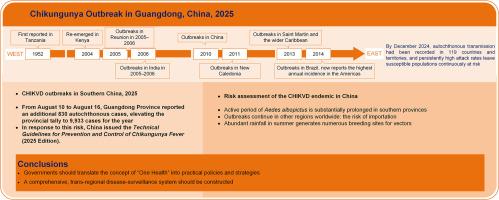 Chikungunya outbreak in Guangdong Province, China, 2025