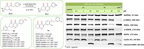 A facile method for the preparation of 7,8-dihydro-4H-chromene-4,5(6H)-diones as non-aromatic cycle A analogs of isoflavones and their evaluation as antiproliferative agents