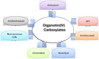 Novel triorganotin(IV) carboxylates: Synthesis, structural features and antimicrobial, cytotoxicity, antioxidant, hemolysis, antileishmanial, anticancer studies