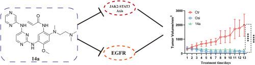 The synthesis and evaluation of new N-(pyrazin-2-yl)-4-aminopyrimidine derivatives targeted EGFR and JAK