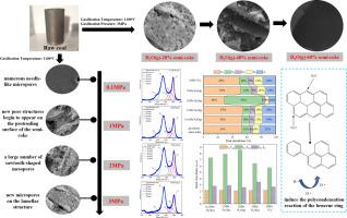 Pore structure evolution of semi-coke under steam atmosphere in the context of deep underground coal gasification