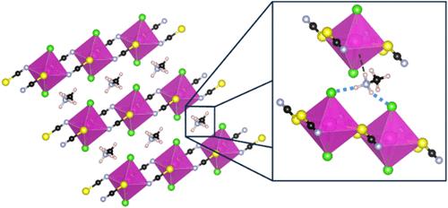 Structure Directing Influences in a Family of One-Dimensional Hybrid Cadmium Thiocyanate Halides