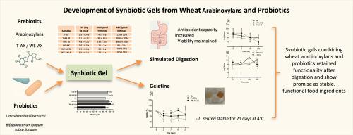 Development of synbiotic gels from wheat arabinoxylans and probiotics and their incorporation in gelatin-based applications