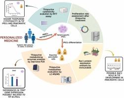 Unraveling the cellular mechanisms of thiopurine-induced pancreatitis in pediatric inflammatory bowel disease: Insights from induced pluripotent stem cell models