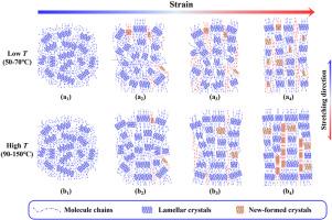 Structural evolution of poly(glycolide-co-lactide) under stress-temperature coupled fields based on in-situ WAXD/SAXS