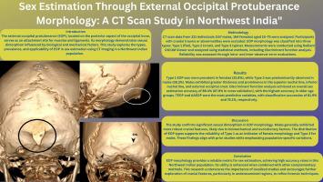 Sex Estimation Through External Occipital Protuberance Morphology: A CT Scan Study in Northwest India