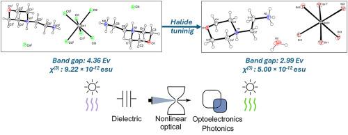 Structure-property relationships in morpholinium hexahalostannate(IV) hybrid materials: Impact of halide substitution on optical and nonlinear responses