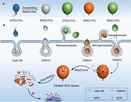 Balloon-like polymersomes with tunable charged and burstable interfaces for controlled drug delivery