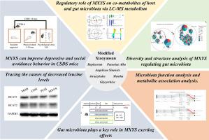 Modified Xiaoyaosan rescues depression-like behavior via remodeling gut microbiota and leucine metabolism