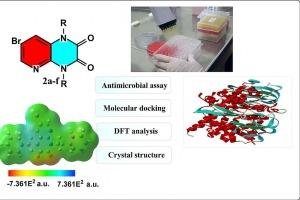 Synthesis of new pyrido[2,3-b]pyrazine derivatives: Crystal structures, spectroscopic characterizations, molecular docking studies, DFT calculations, and antibacterial activity
