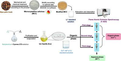 Green efficient dual-strategy for critical metal recovery from spent LIBs: Nipa palm shell-derived cellulose and [C4H9NH3][Cyanex 272] ionic liquid extraction