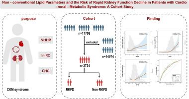 Non-conventional lipid parameters predict the risk of rapid kidney function decline in patients with cardiovascular-kidney-metabolic syndrome: The first cohort study evidence from CHARLS