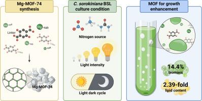 Enhancing biomass and lipid production in Chlorella sorokiniana via magnesium metal-organic framework of Mg-MOF-74